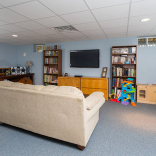 Large traditional look-out basement in Boston with blue walls, carpet, no fireplace and blue floors.