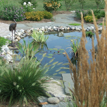 Koi Pond and Waterfall- Small Scale Design