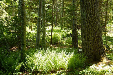 Design ideas for a mid-sized contemporary shade landscaping in Portland Maine.