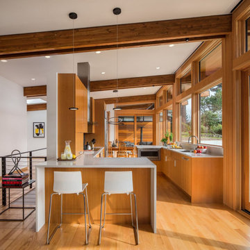 Bellevue Remodel