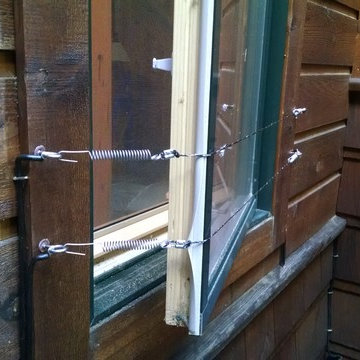 Window Protection