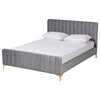 Kristiane Modern Luxe Light Gray Velvet Fabric and Gold King Platform Bed