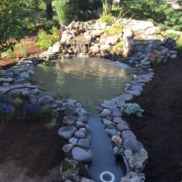 View of the entire pond