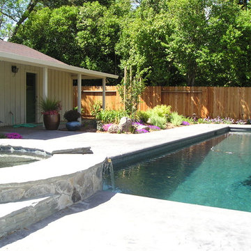 Pool with spa and waterfall