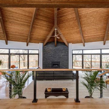 Mid-Century Modern Home Renovation - Interior