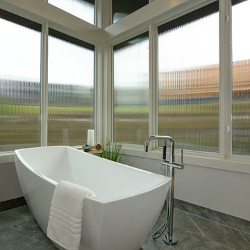 Mid-Century Modern: Primary Bath