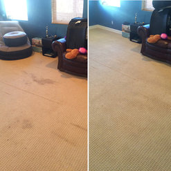 Carpet Stain Protection South Coast Chem Dry
