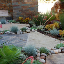Garden Ideas That I May Do