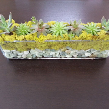 Plant Design