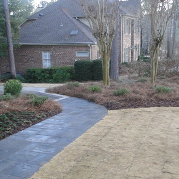 Foundational Planting