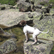 John Brenan's photo