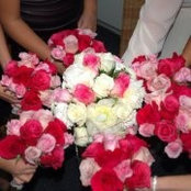 Maredith Stoffel's photo