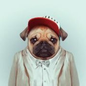 Tabitha Myers's photo