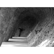 Cory Kitch's photo