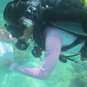 Foto von Trang Trần