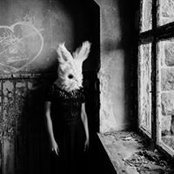 Vero Nika's photo