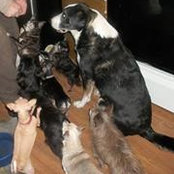 Cathy Taylor's photo