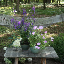Vegetable Garden