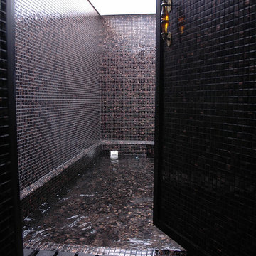 Basement spa and bar