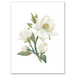 DDCG - White Magnolia Flower 18x24 Canvas Wall Art - With a touch of rustic, a dash of industrial, and a pinch of modern elegance, this wall art helps you create a warm and welcoming space in your home. Digitally printed on demand with custom-developed inks, this  design displays vibrant colors proven not to fade over extended periods of time. The result is a beautiful piece of artwork worthy of showcasing in your home.