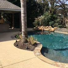 Michelle's backyard