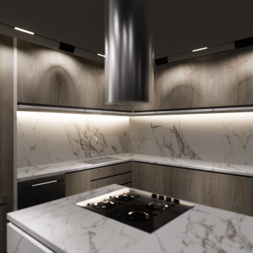 Miami Contemporary Kitchen Bayfront Interior Design Project: Asia Brickell Key