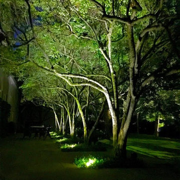 Night Landscape Lighting
