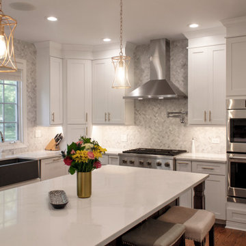 Kitchen Transformation in Palatine
