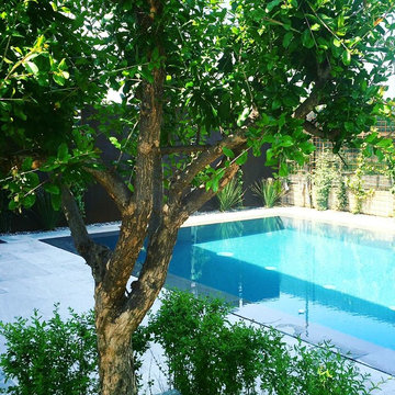 Pool & Garden