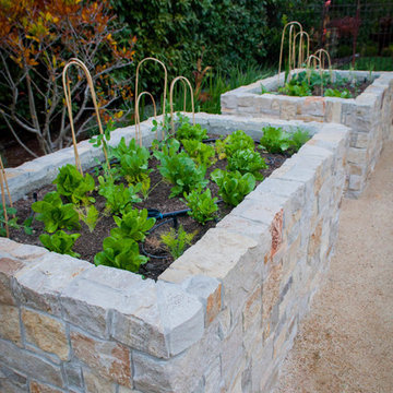 Vegetable Planters