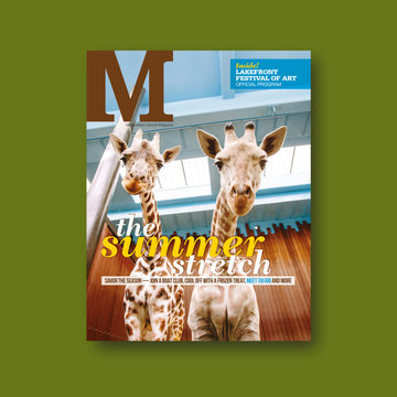 M Magazine - 2016 "Extended Potential"