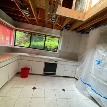 Kitchen Remodels