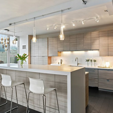 Modern West Loop Condo