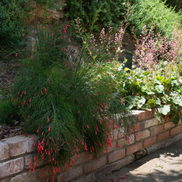 Low water plants and brick retaining wall