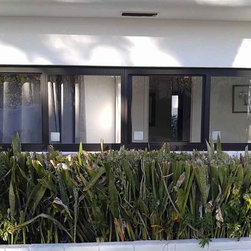 North Miami House - Windows