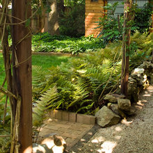 Landscape Ideas