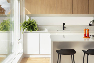 Stepaside Kitchen