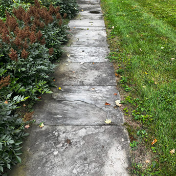Pressure Washing job.