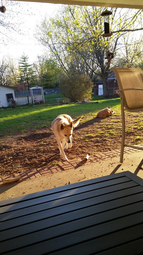 Material to extend concrete patio?