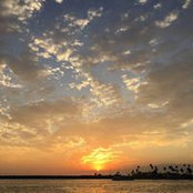Sandy Park's photo