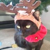 Heidi Calaway's photo