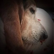 Lori Scheunemann's photo