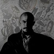 Arman Niksereshts foto
