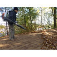 Perfect Gutter Cleaning, LLC's profile photo