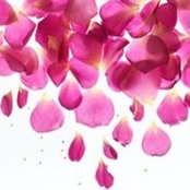 Deepti Kurup's photo