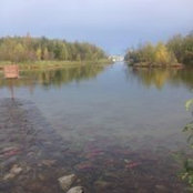 Paul Bennetts's photo