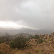 ابو تركي العتيبي's photo