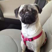 Becky McElhaney's photo