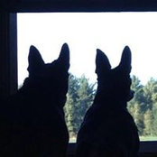 Foto von Lyn Steinmetz