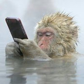 Sonya Rikhtverchik's photo
